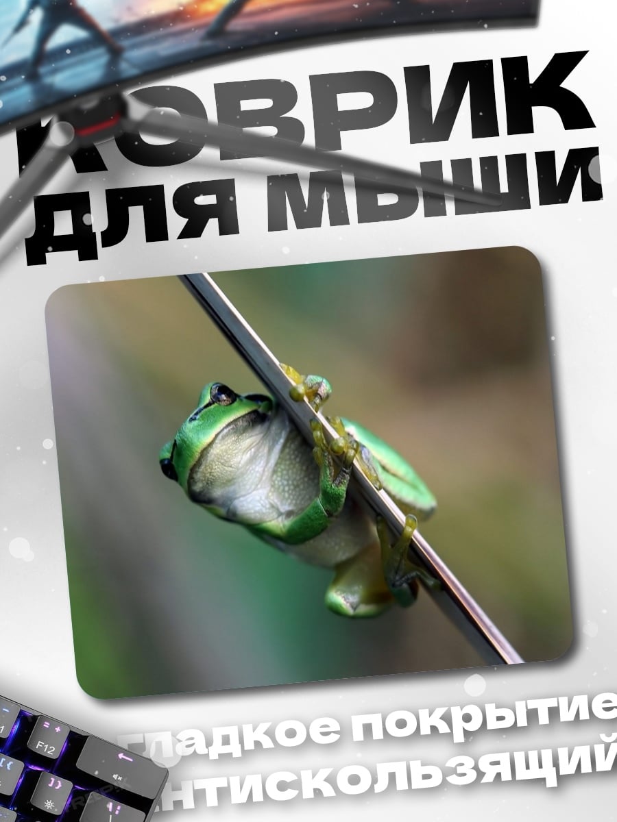 Коврик Зеленая лягушка на ветке