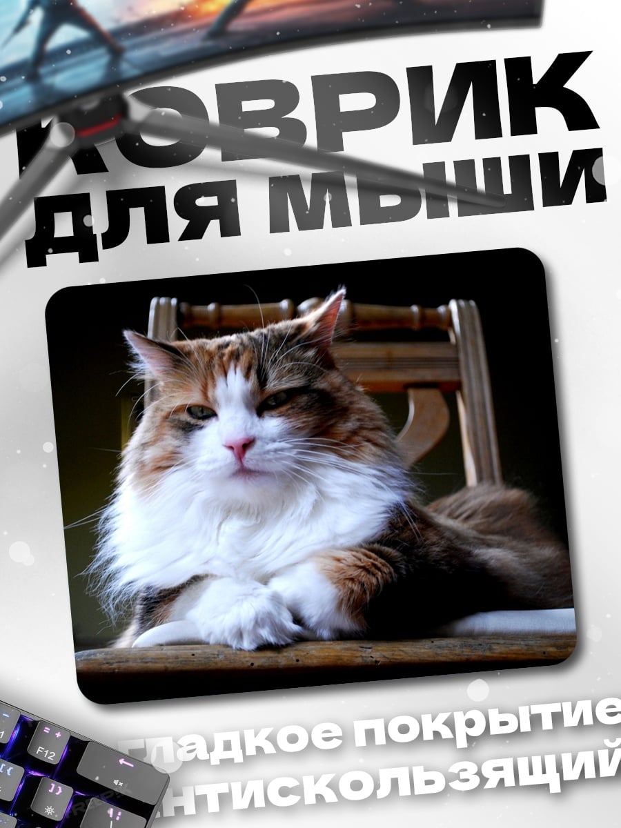 Коврик Пушистый кот на стуле