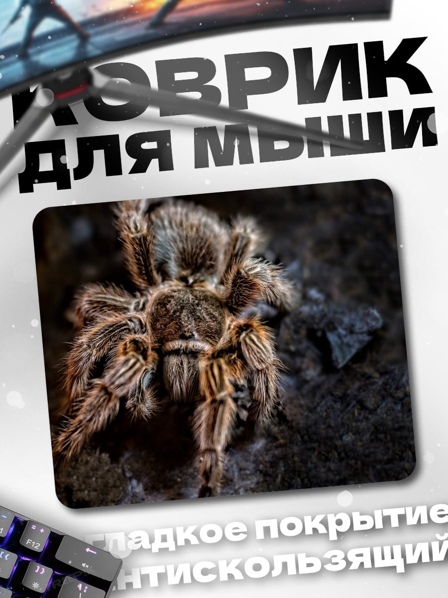 Коврик Тарантул на камне