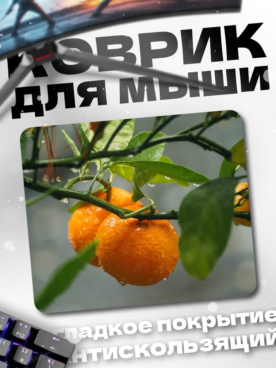 Коврик мандарины на ветке