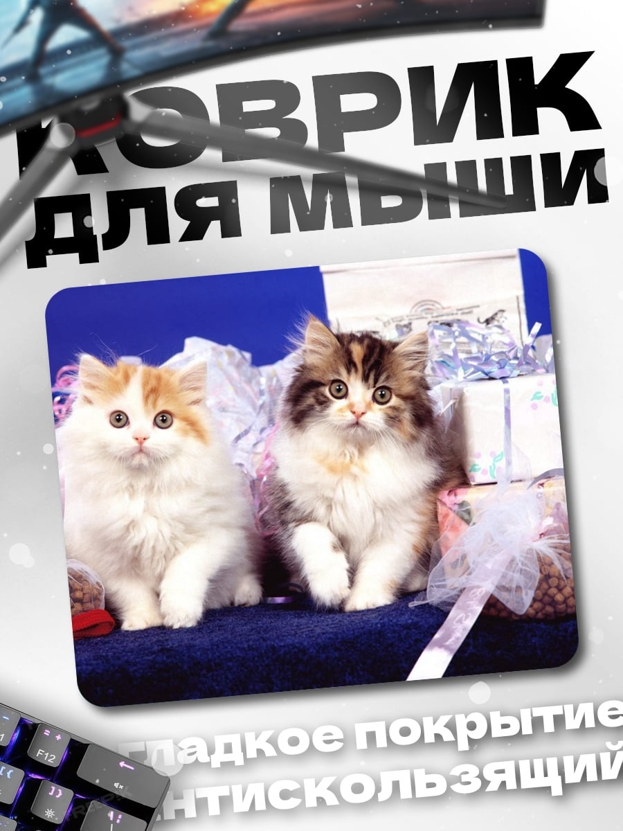 Коврик Два котёнка