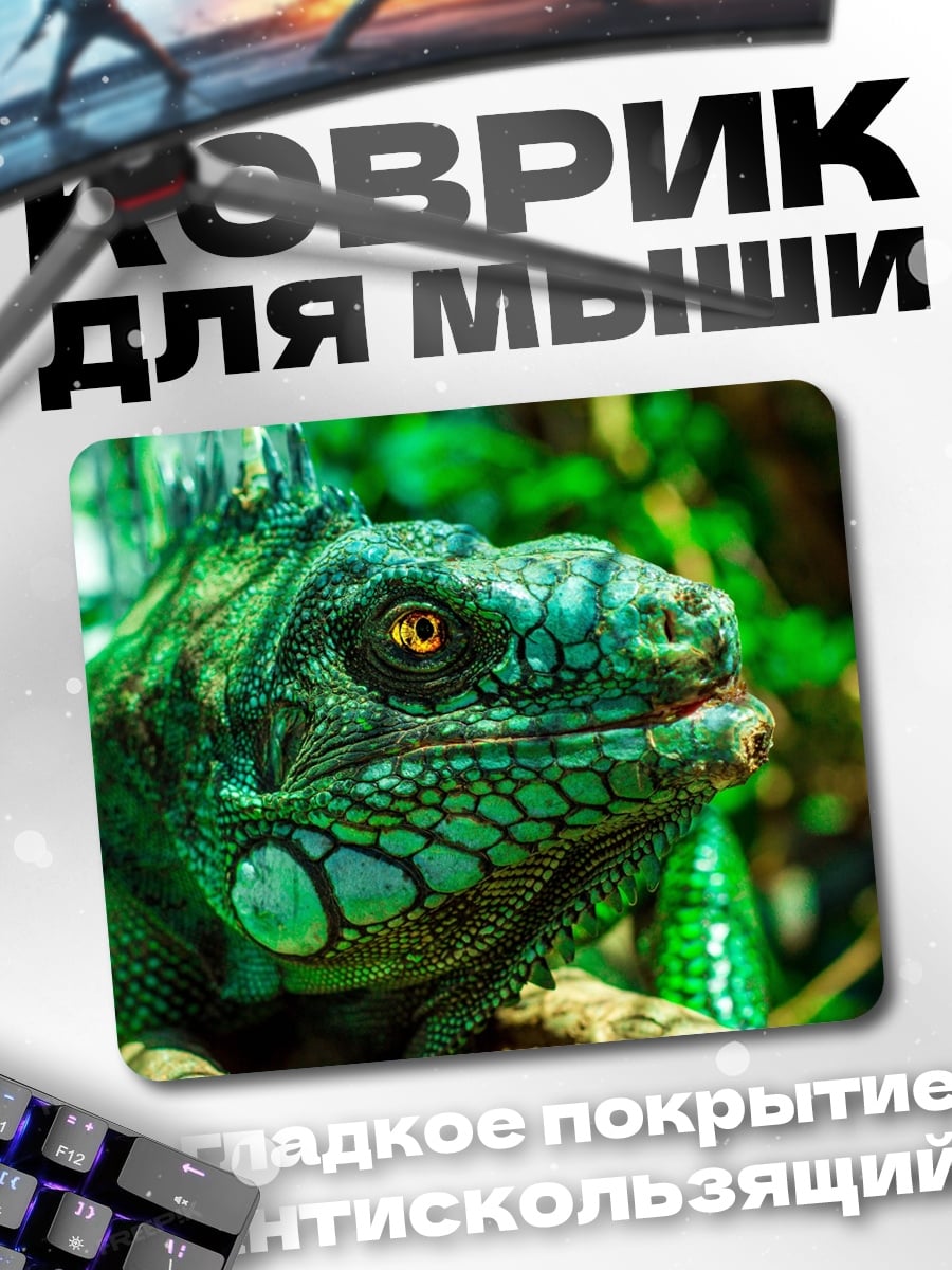Коврик Зеленая игуана крупным планом