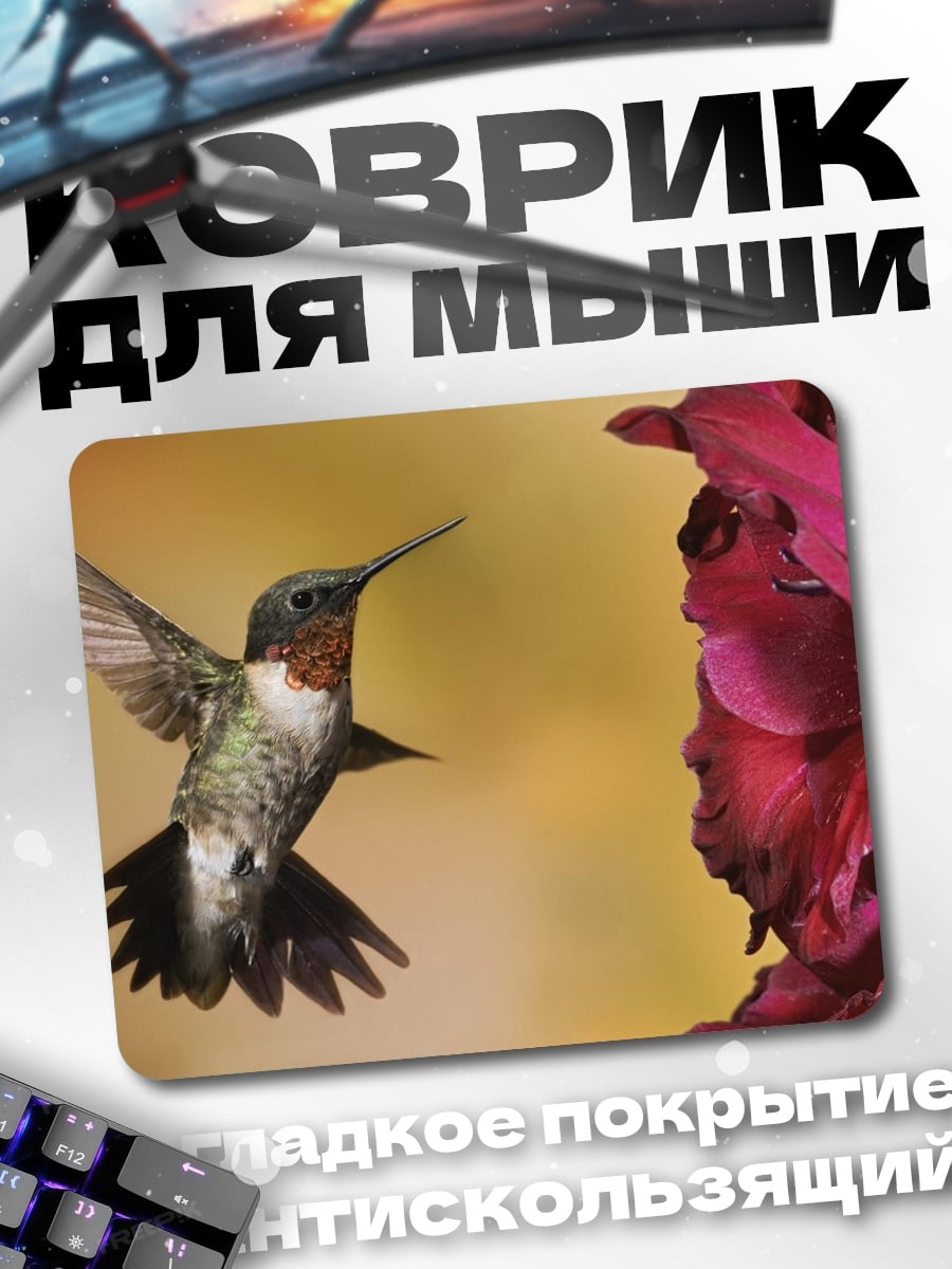 Коврик Колибри и цветок