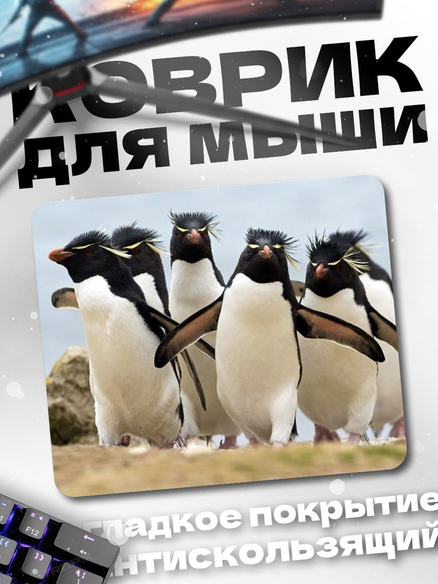 Коврик Пингвины на берегу