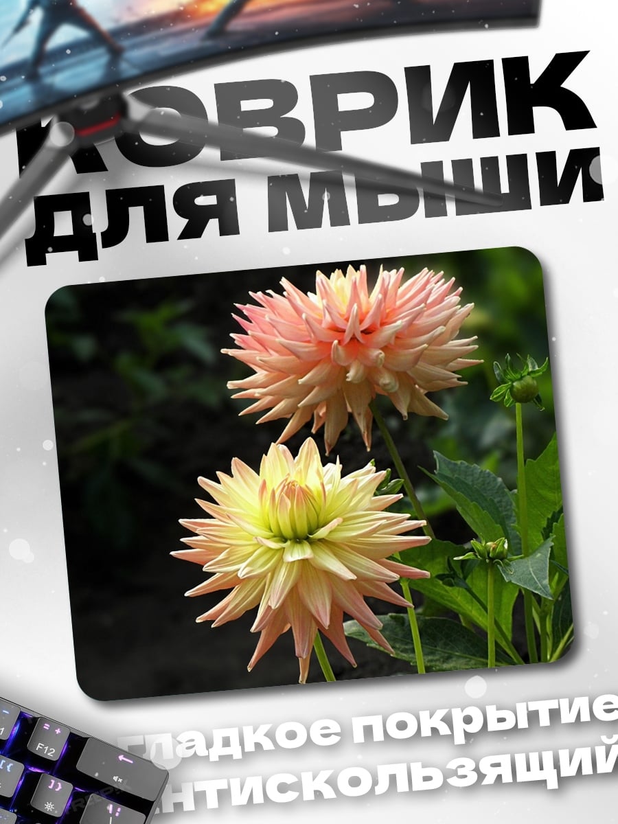 Коврик Цветущие георгины