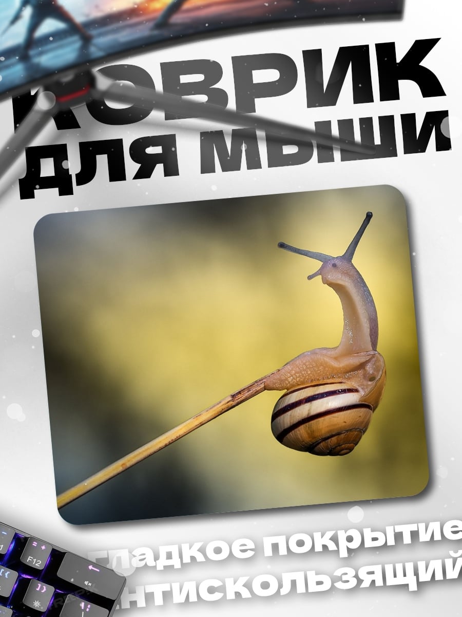 Коврик Улитка на палке