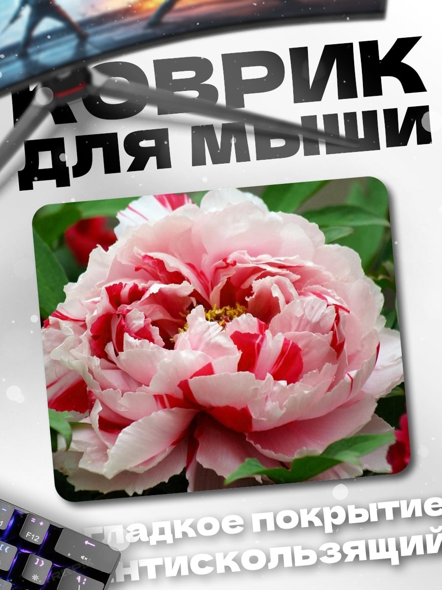 Коврик розовый пион