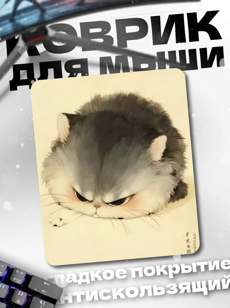Коврик Сердитый кот пушистик