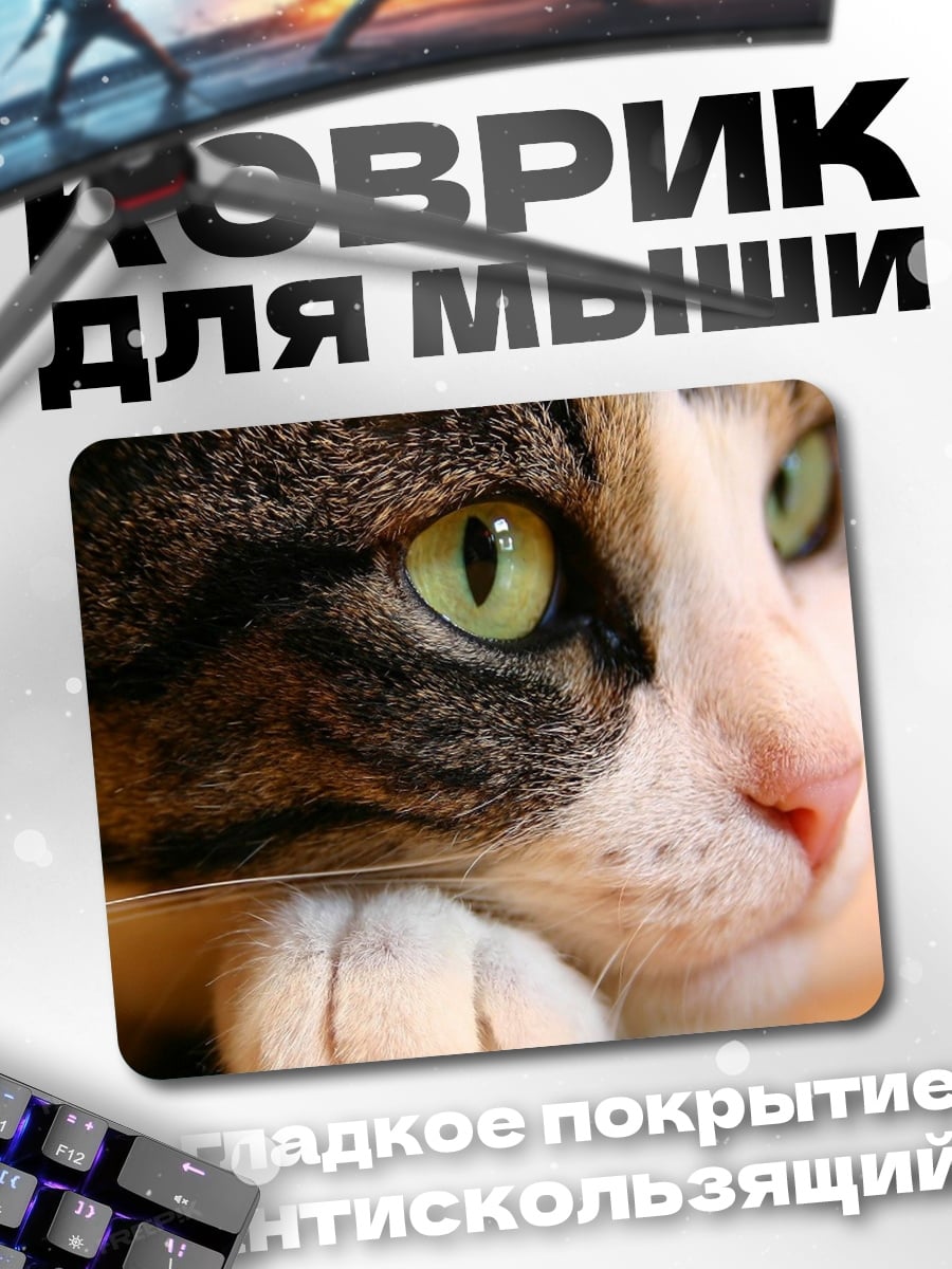 Коврик зеленые глаза кошка