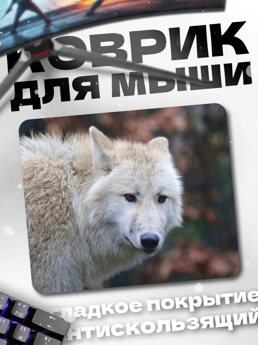 Коврик белый волк в лесу