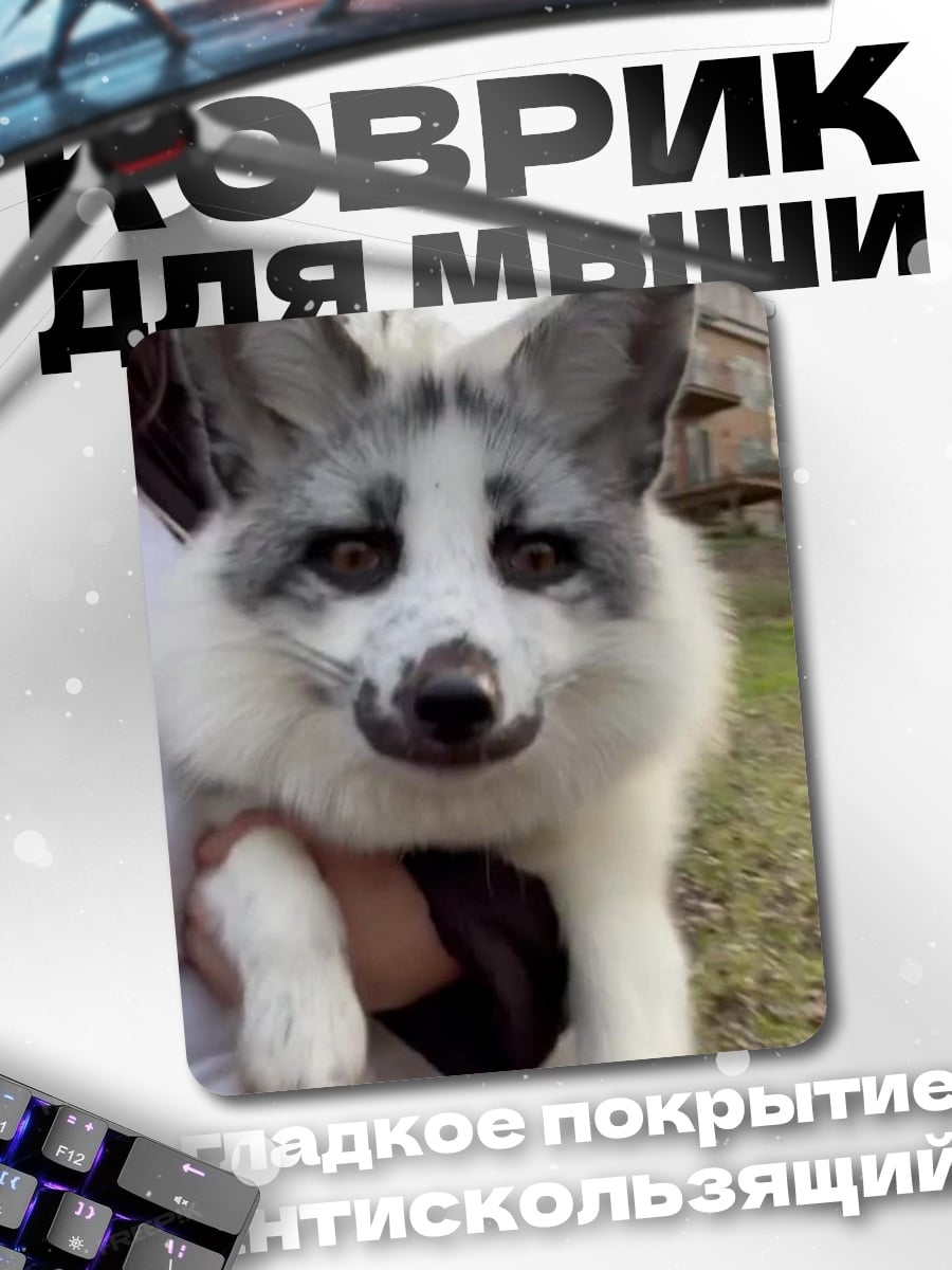 Коврик Белая лиса в руках