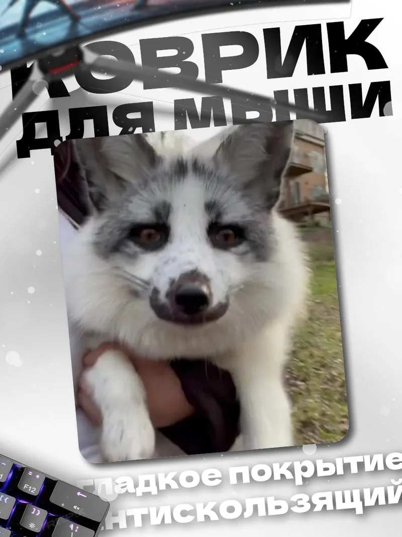 Коврик Белая лиса в руках