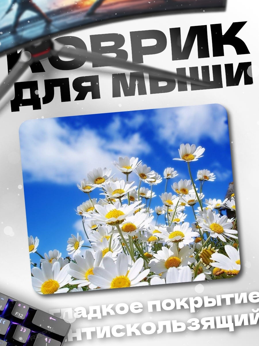 Коврик ромашки на лугу