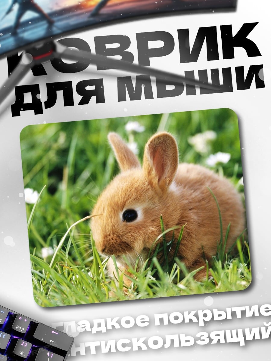 Коврик рыжий кролик в траве