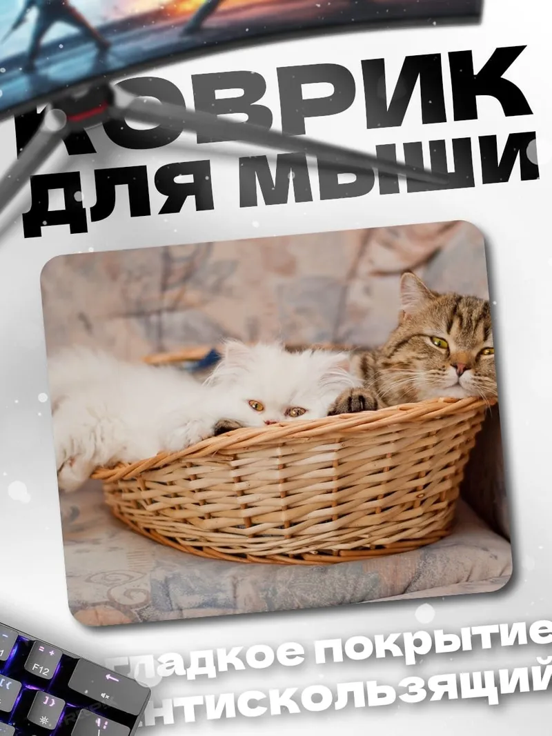 Коврик Котята в корзине