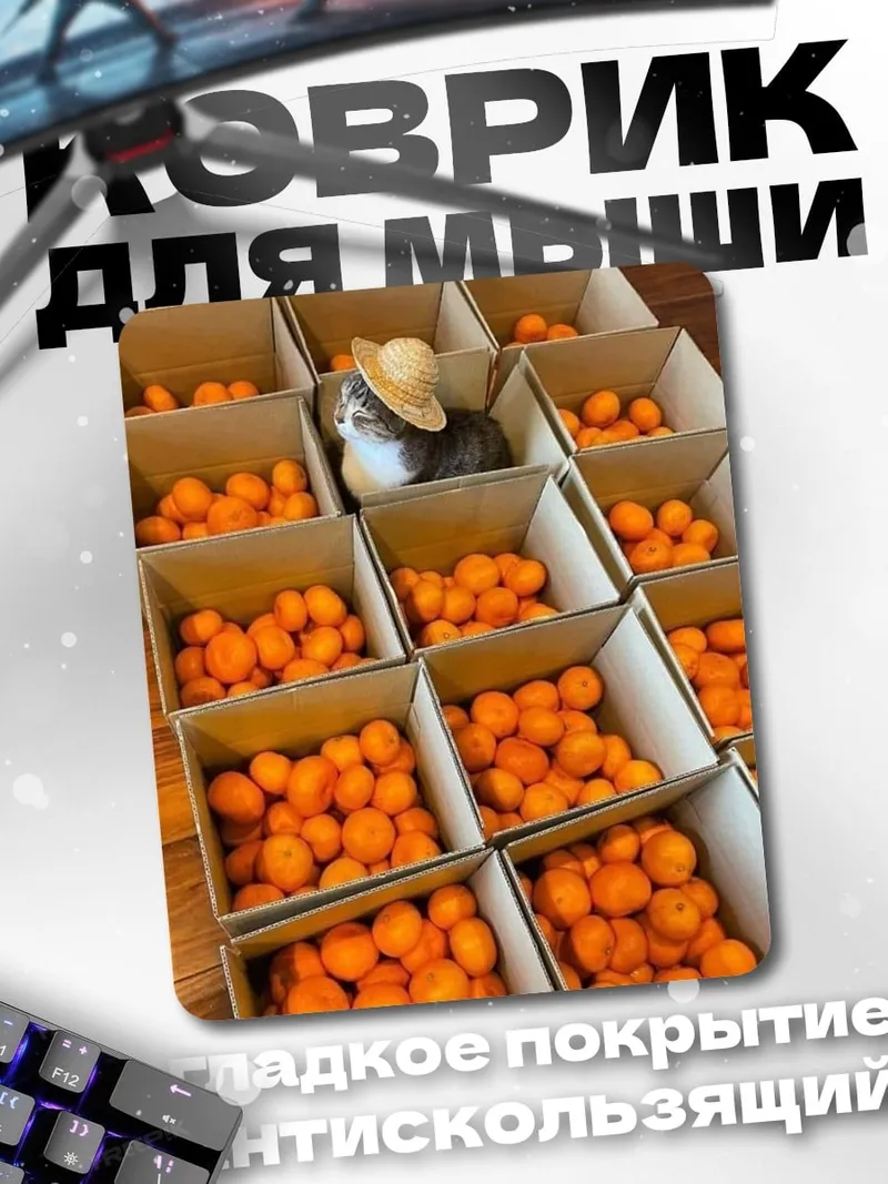 Коврик Кот в шляпе