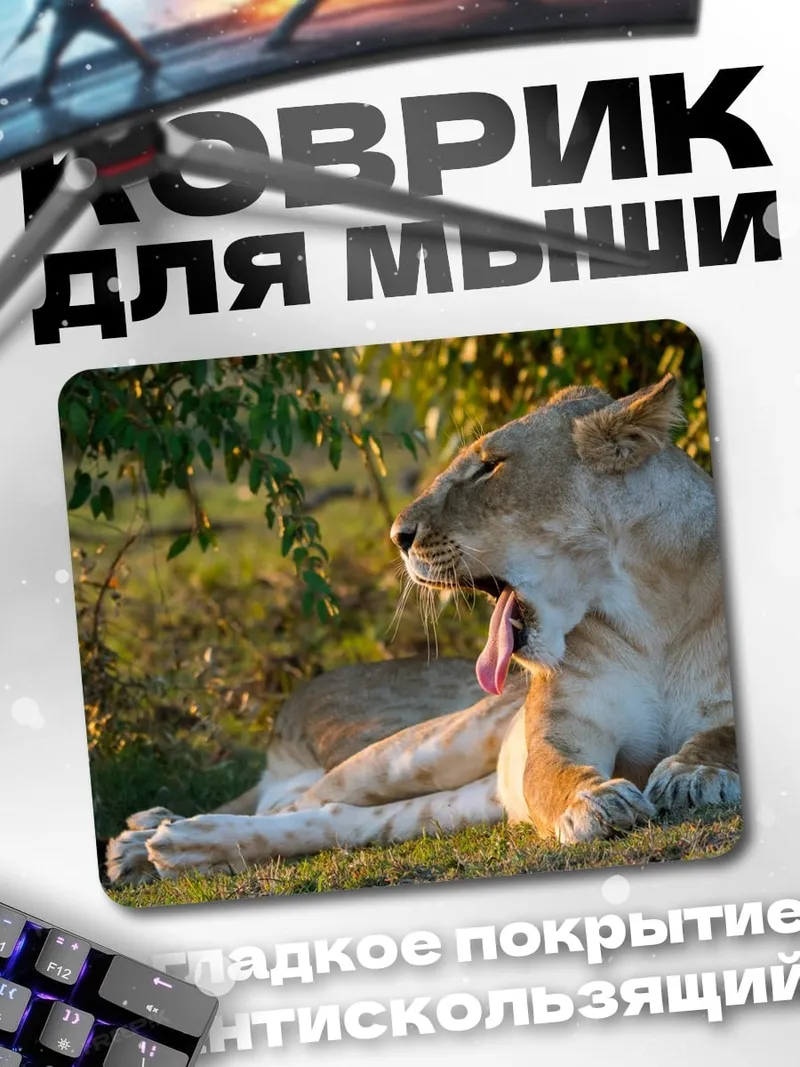 Коврик зевающая львица