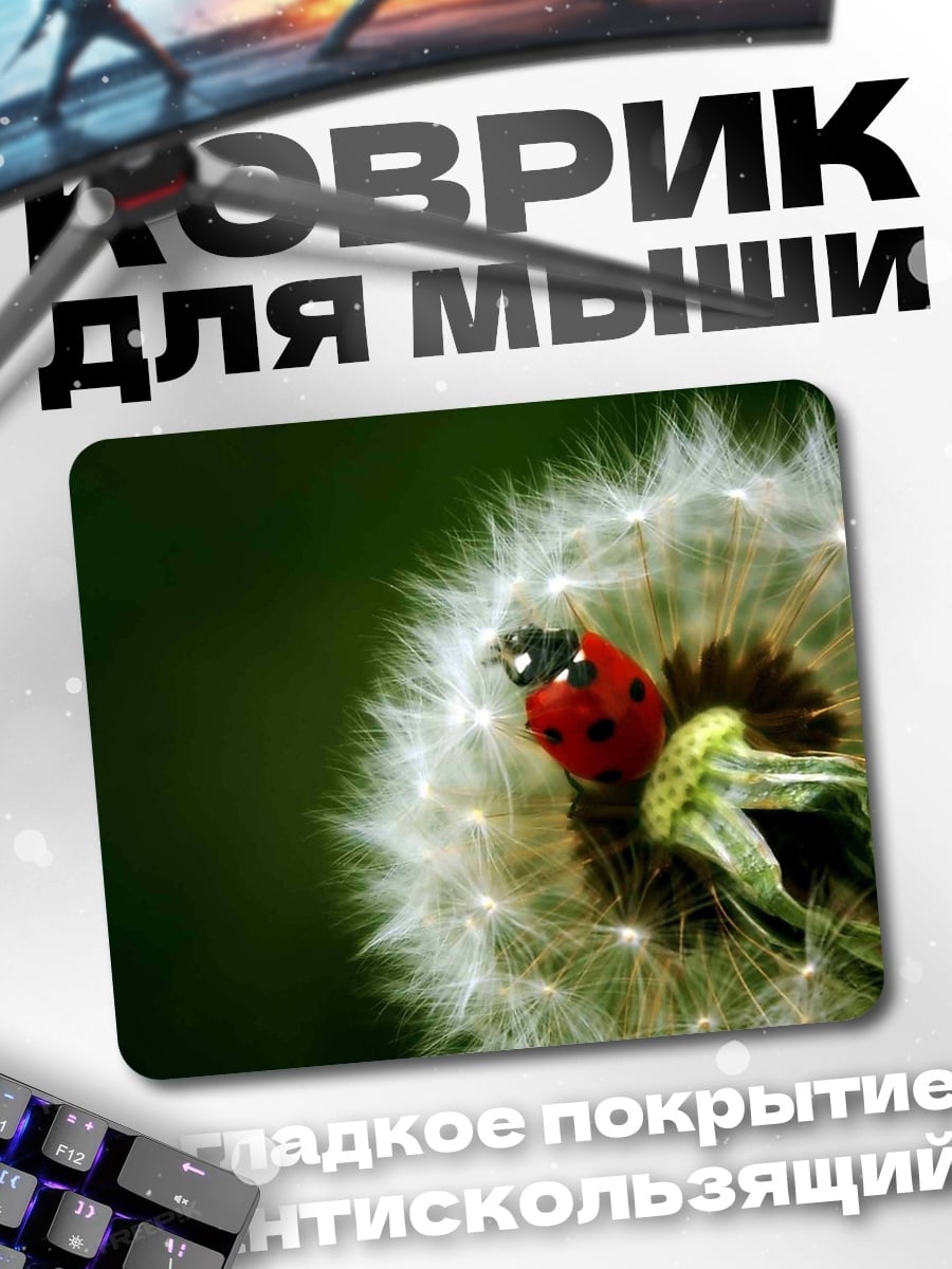 Коврик божья коровка на одуванчике