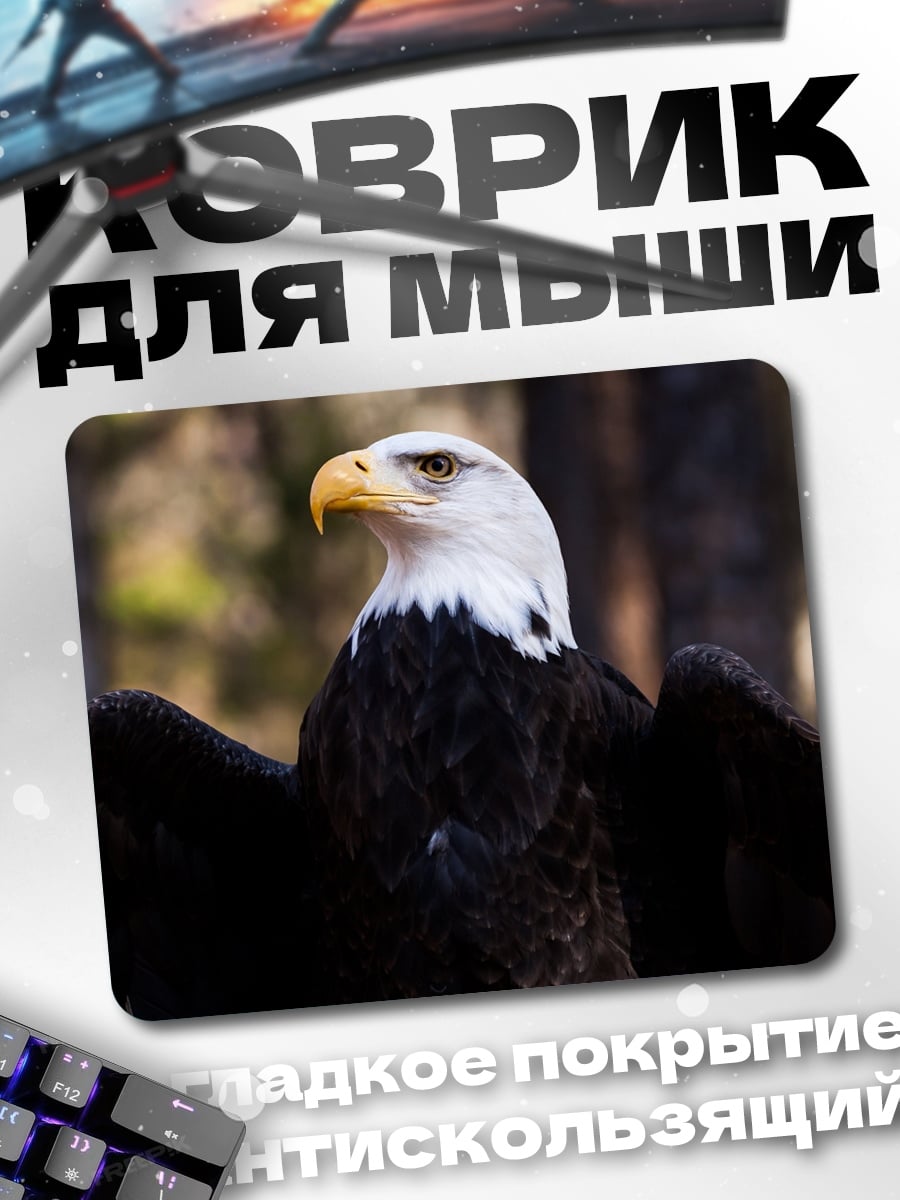 Коврик белоголовый орлан