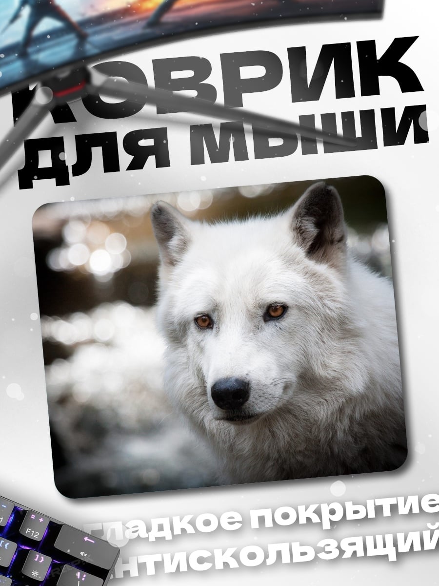 Коврик белый волк смотрит