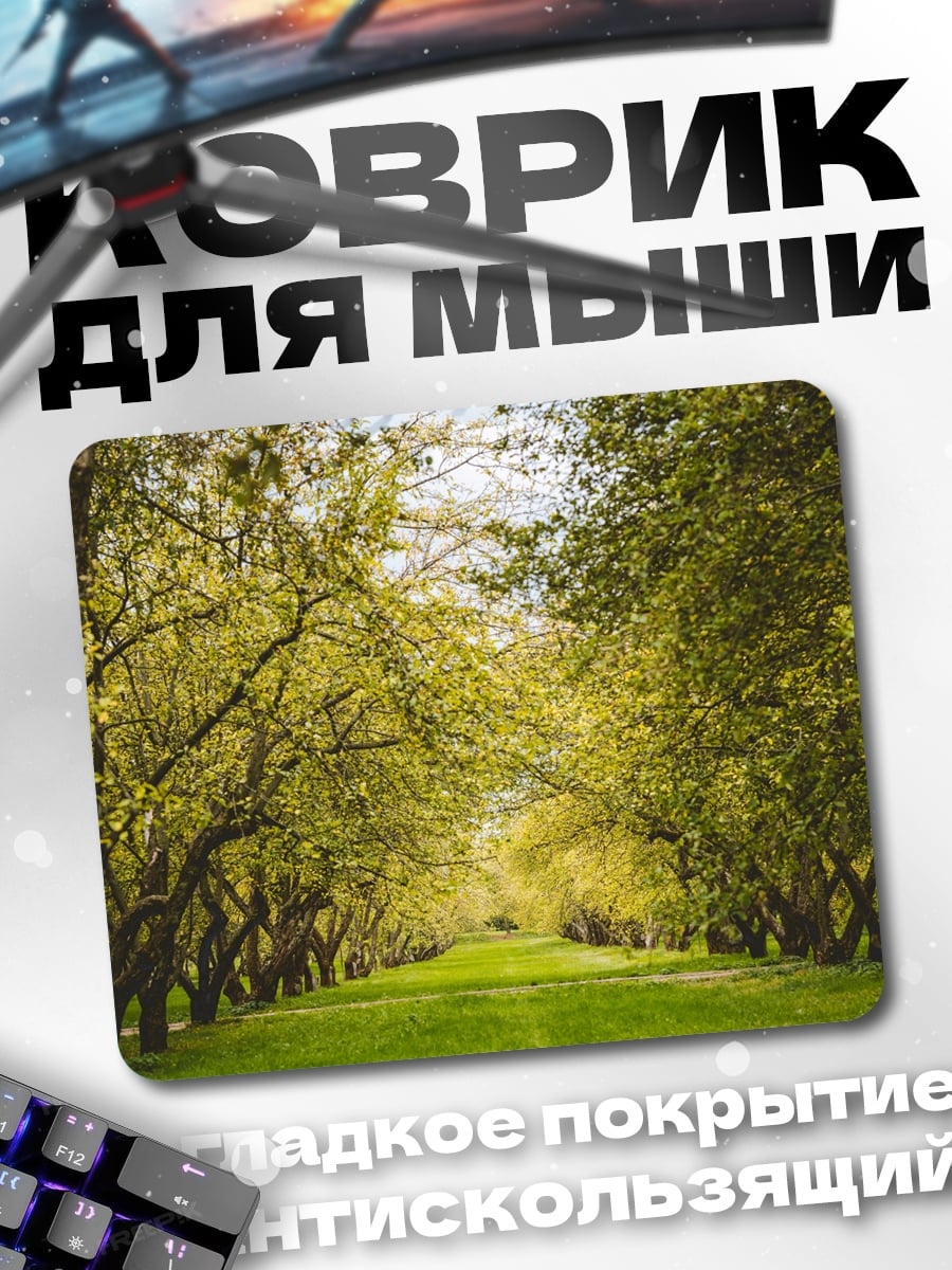 Коврик Аллея деревьев