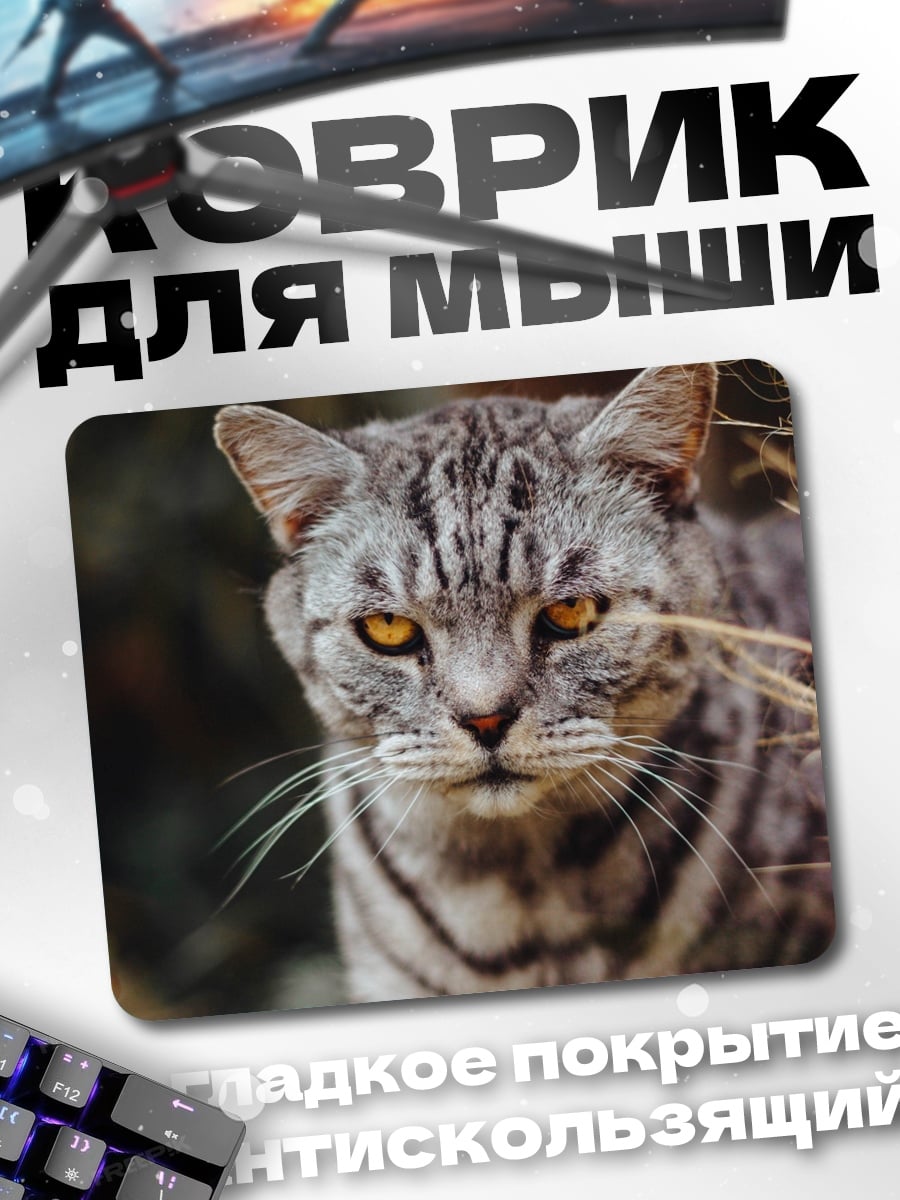 Коврик серый полосатый кот