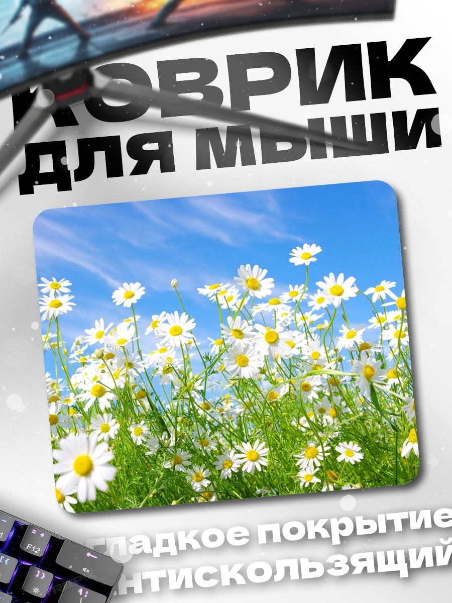 Коврик поле ромашек небо