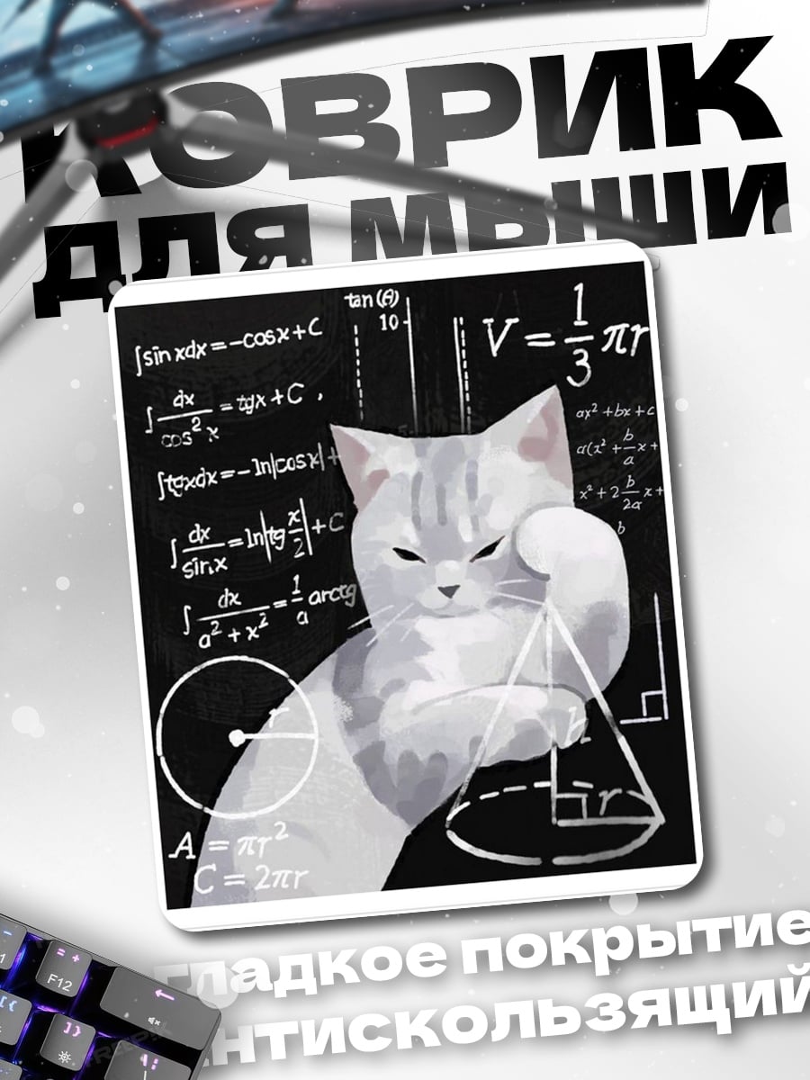 Коврик Кот решает задачу