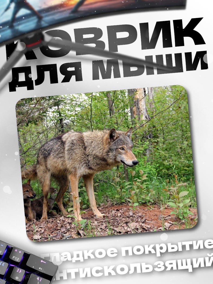 Коврик Волки в лесу