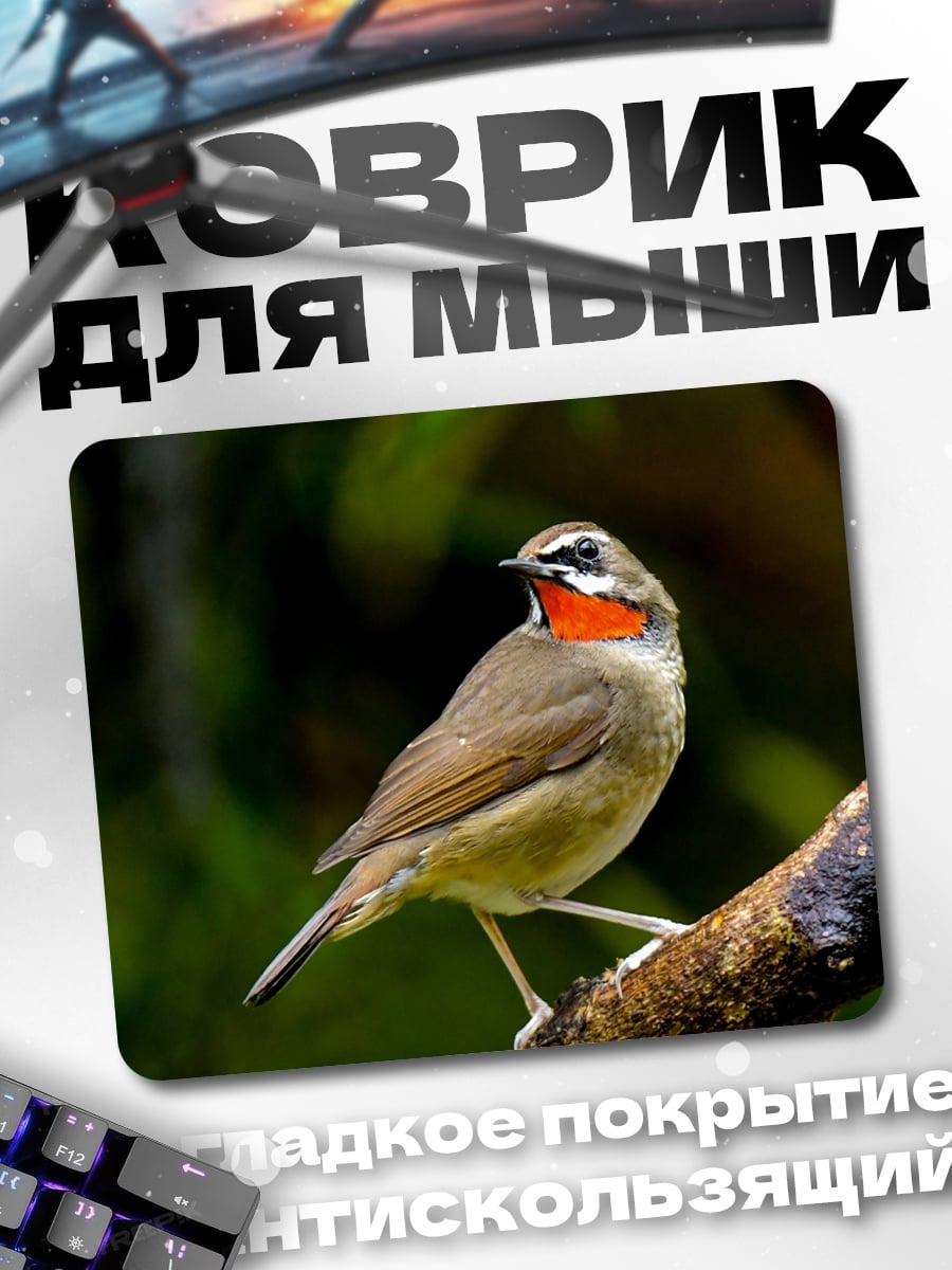 Коврик Птица с красным горлом