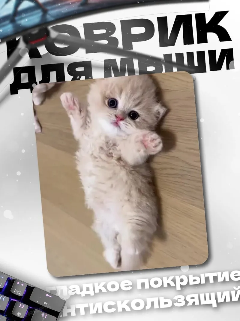 Коврик Пушистый котенок лежит