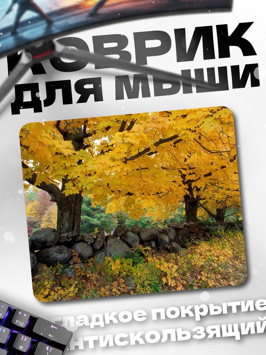 Коврик Осенние деревья стена