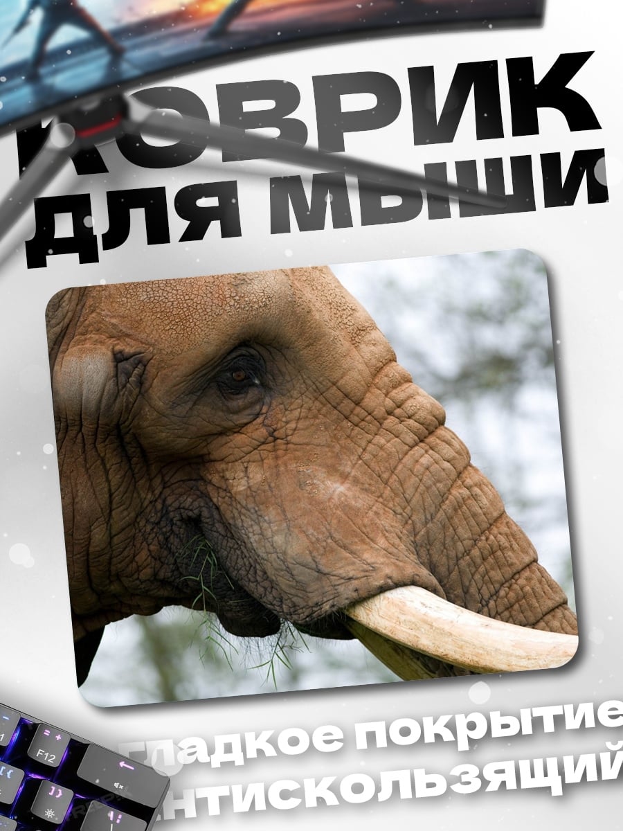 Коврик Портрет слона