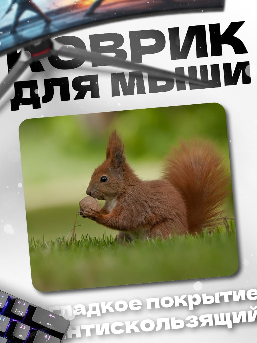 Коврик Рыжая белка ест