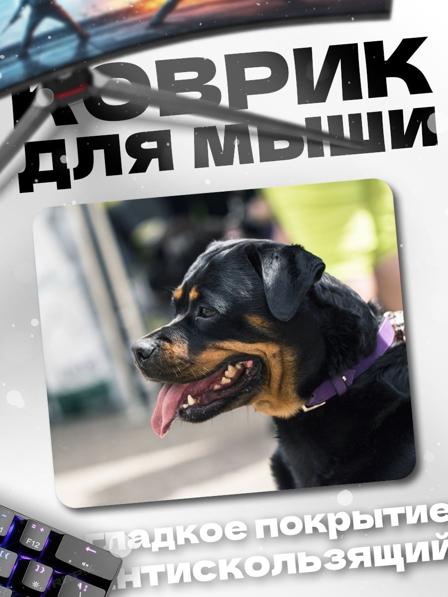 Коврик Ротвейлер на поводке