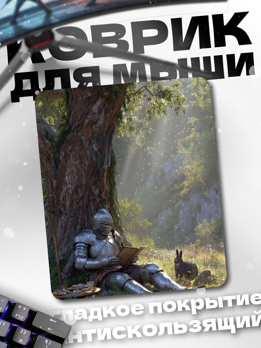 Коврик Рыцарь читает книгу