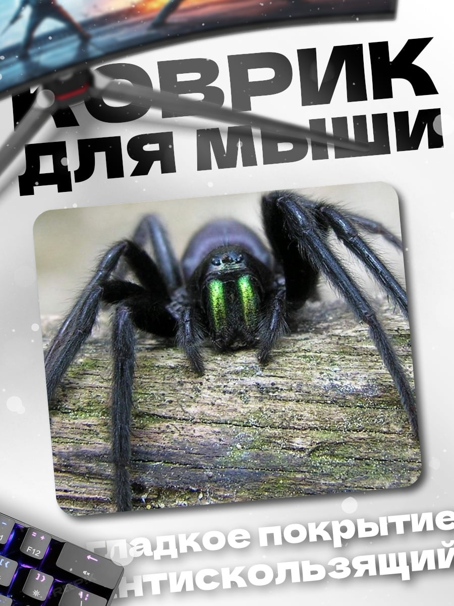 Коврик Паук с зелеными глазами