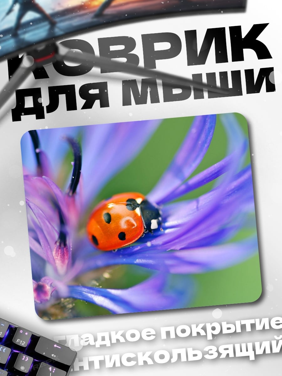 Коврик божья коровка на цветке