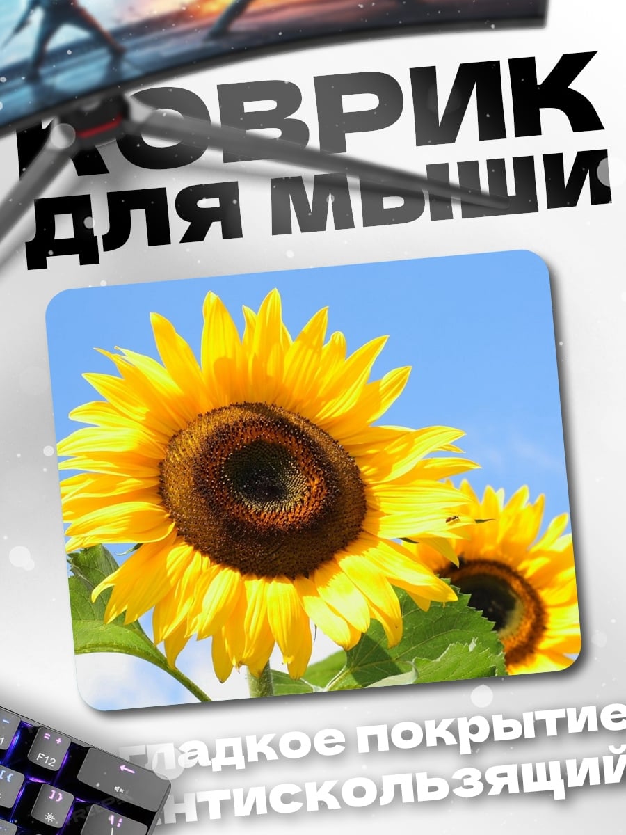 Коврик Два подсолнуха