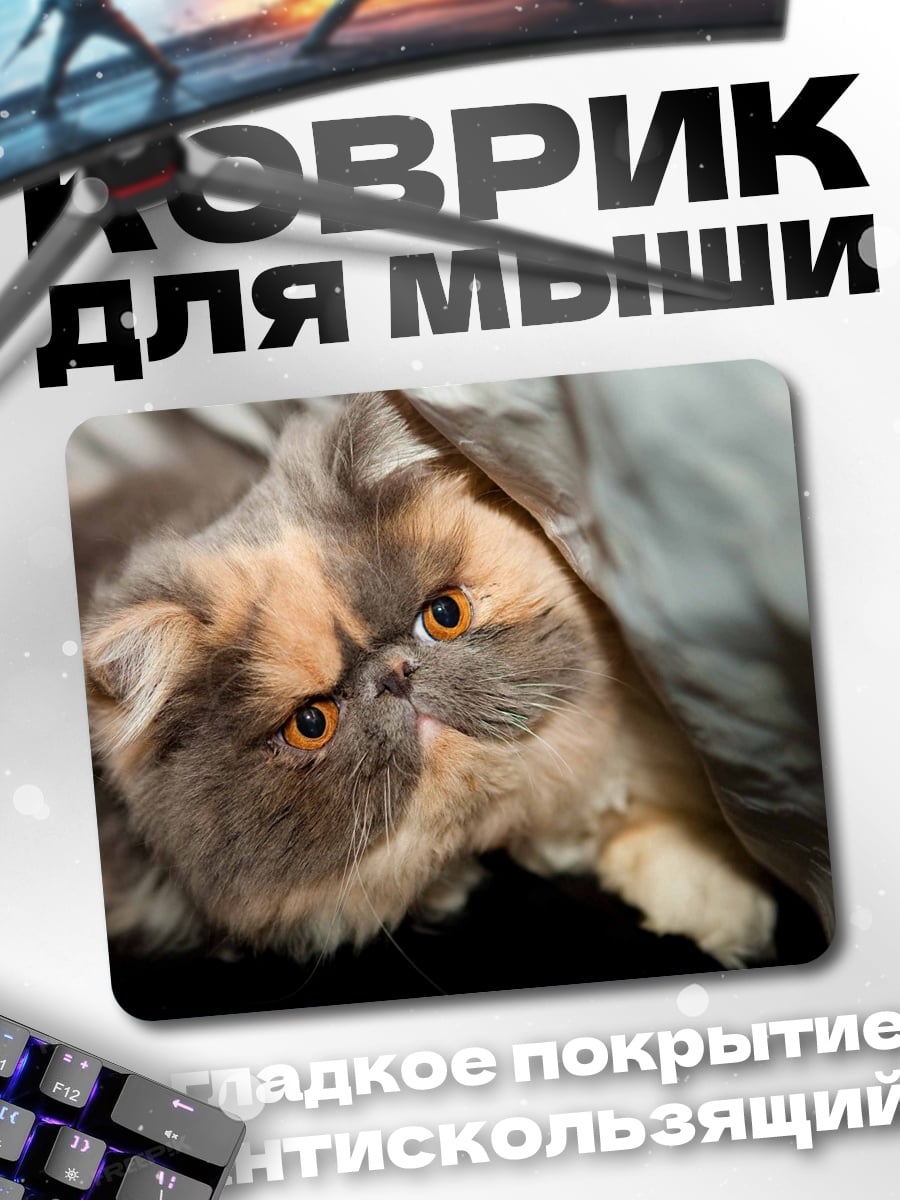 Коврик Пушистый кот смотрит