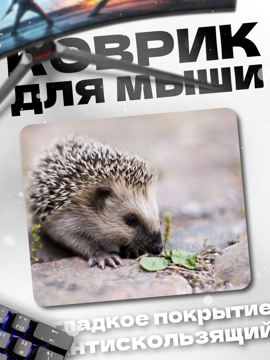 Коврик Ёжик на камнях
