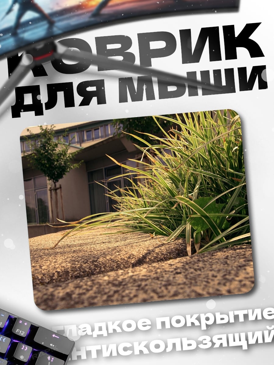 Коврик Трава у дома