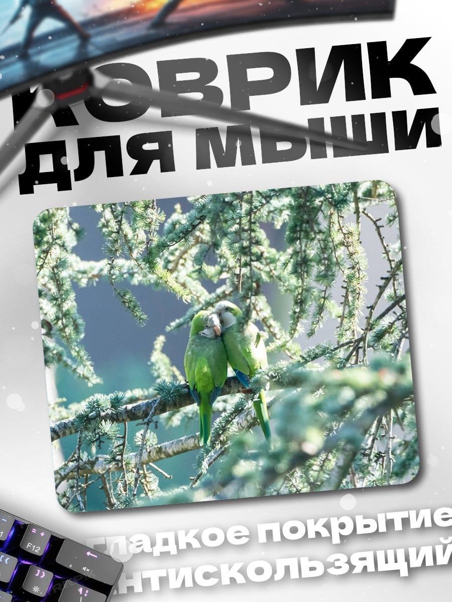 Коврик Пара попугаев
