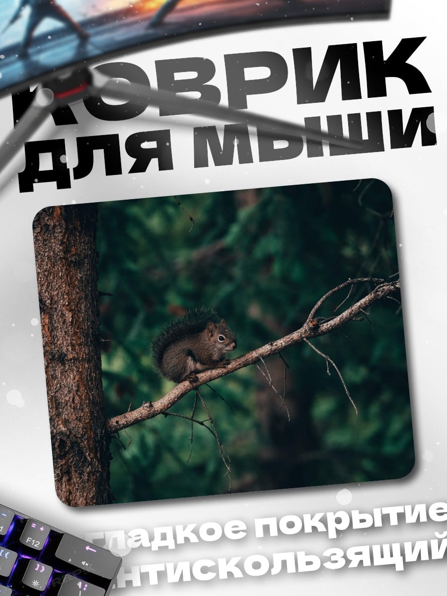 Коврик Белка на ветке