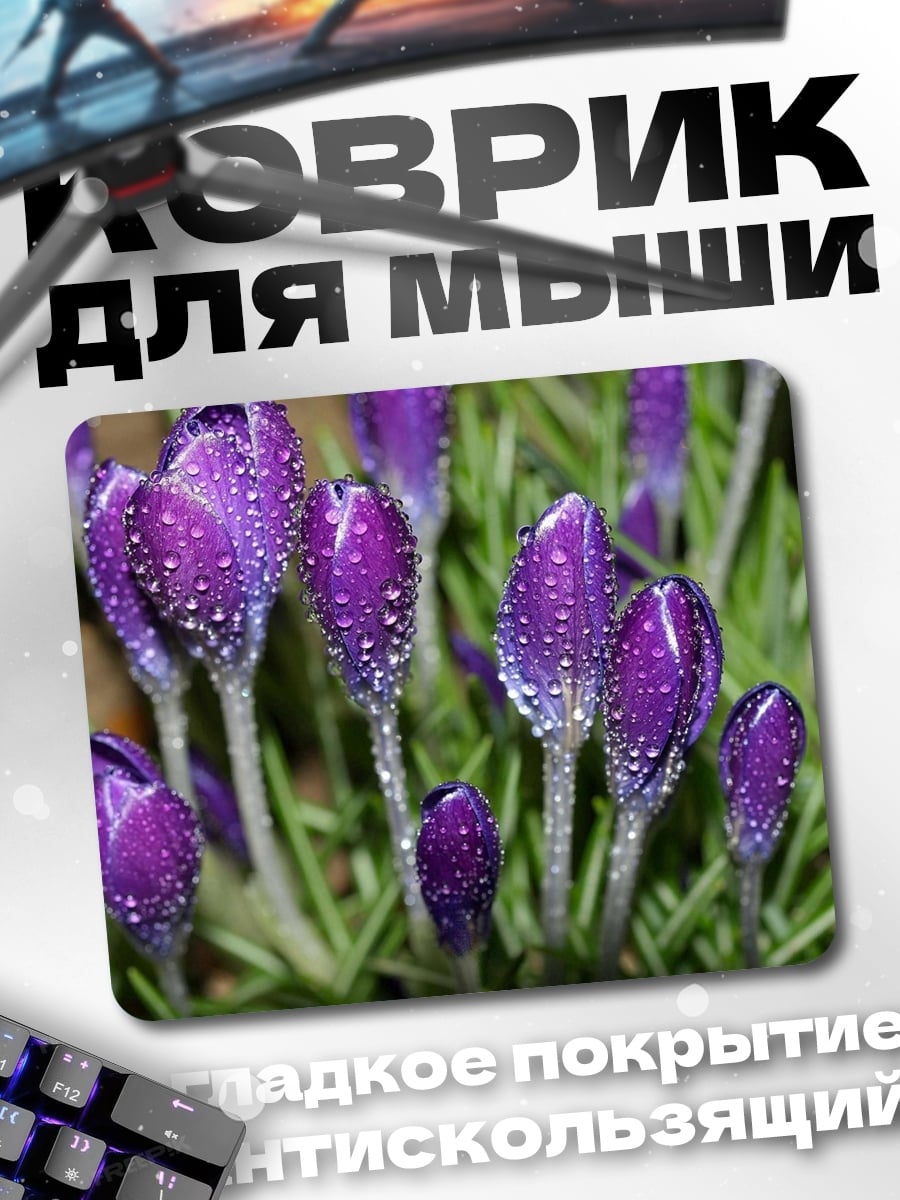 Коврик фиолетовые крокусы в росе