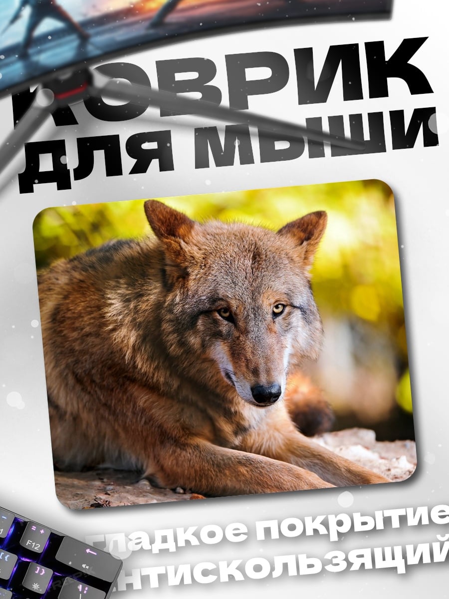 Коврик Рыжий волк