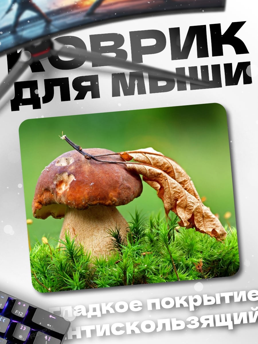 Коврик Белый гриб