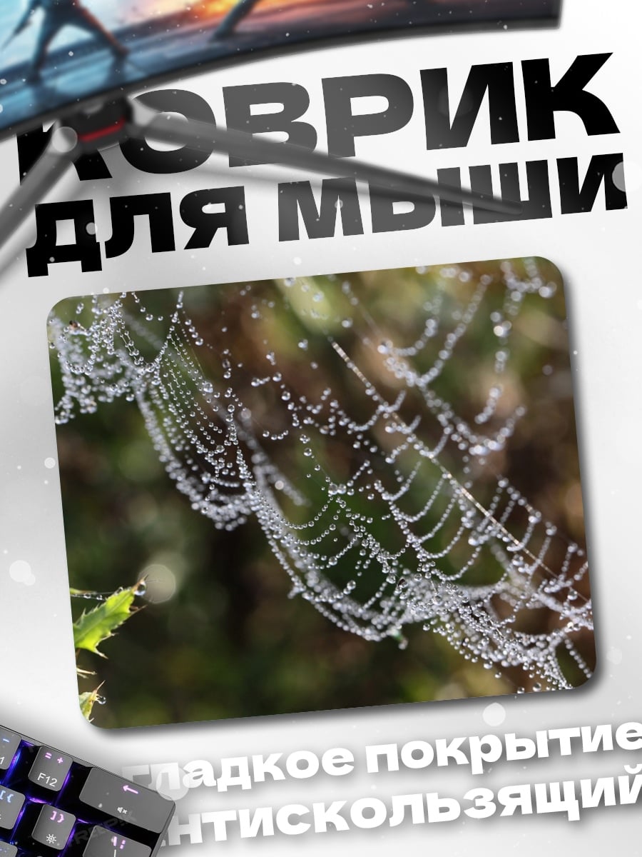 Коврик паутина роса утро