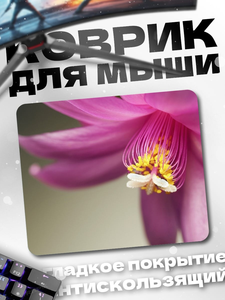 Коврик Крупный план розового цветка