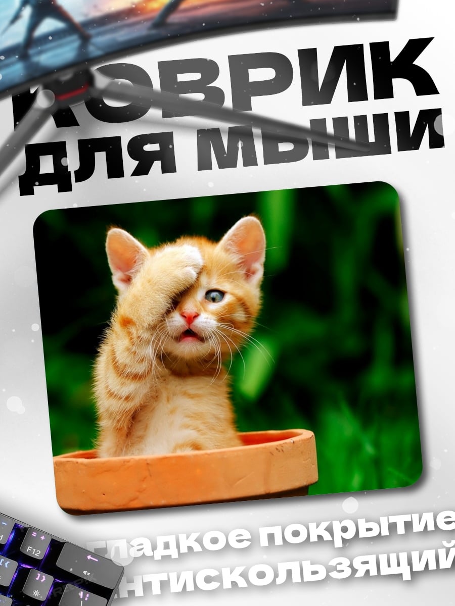 Коврик Смущенный котенок